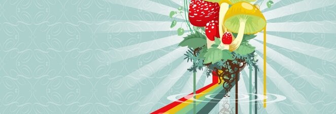 Testing The live Demo