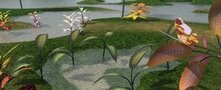 A Nice Imaginary Garden