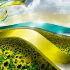 The Flower Waves Mixes