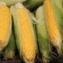 Corn is very good source of vitamin B1