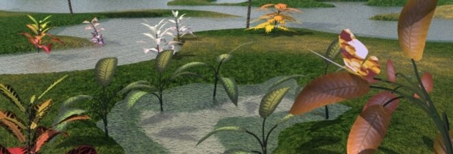 Green Garden and Leaves