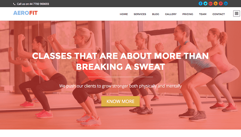 Aerofit fitness WordPress theme