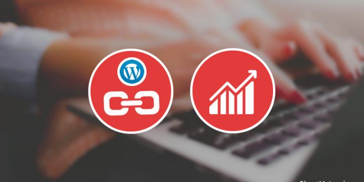 How To Establish Inside Links for Search engine optimization in WordPress?