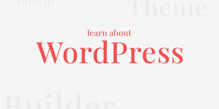 WordPress Necessities: Find the Countless Prospects