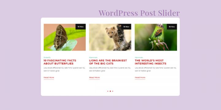 How to Build a WordPress Put up Slider
