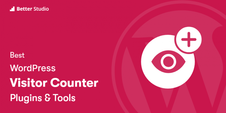 6 Best WordPress Visitor Counter Plugins 🥇 2022 (Free & Pro)