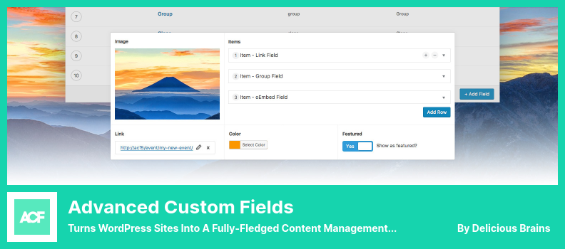 Advanced Custom Fields Plugin - Turns WordPress Sites Into a Fully-Fledged Content Management System