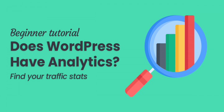 Does WordPress Monitor Site visitors or Involve Analytics?