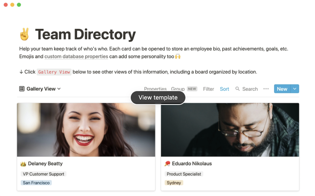 Notion Team Directory template