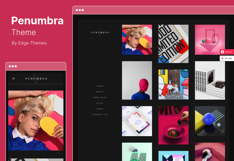 Penumbra Theme - MultiConcept Design Portfolio WordPressTheme