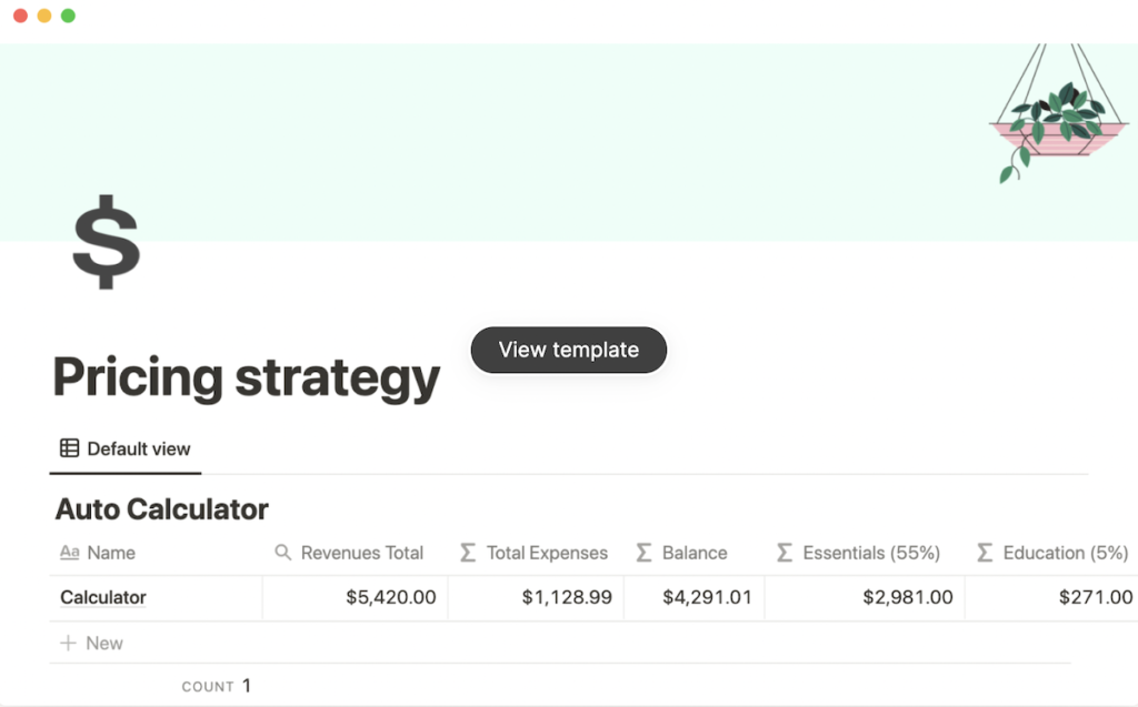 Notion Pricing strategy Template