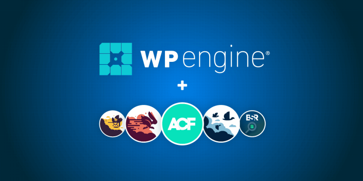 WP Motor Acquires Preferred Delightful Brains WordPress Plugins Such as Developer Beloved Superior Custom Fields