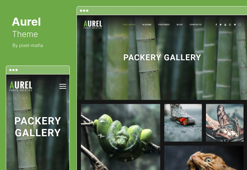 Aurel Theme - Photography WordPress Theme