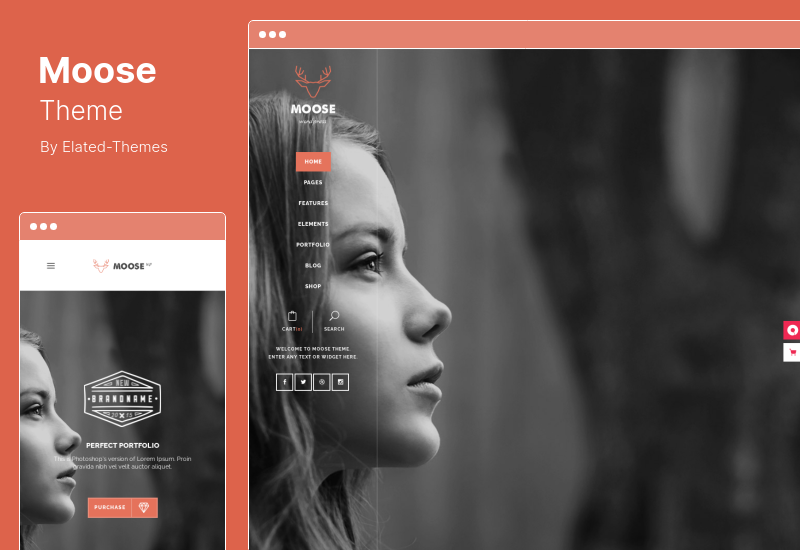 Moose Theme - Creative Multipurpose WordPress Theme