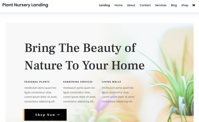 Divi gardening theme for WordPress
