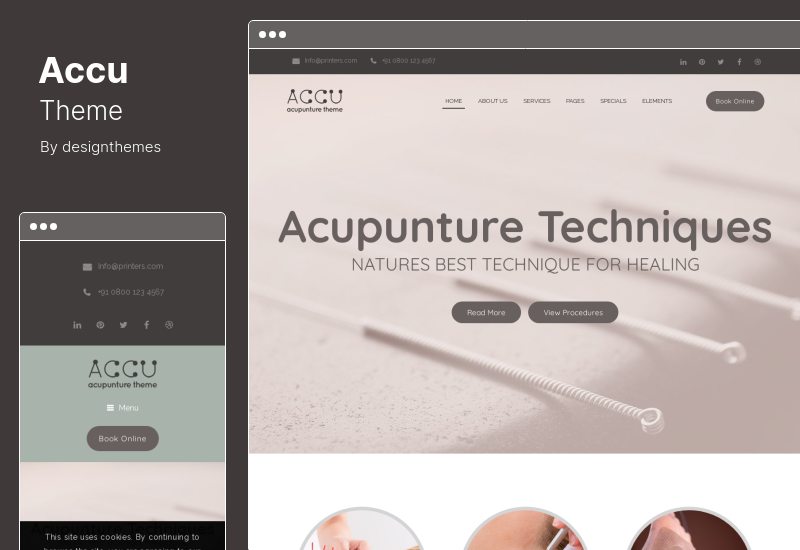 Accu Theme - Healthcare, Massage WordPress Theme