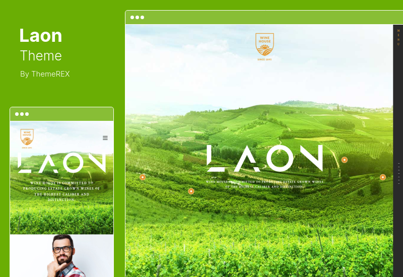 Laon Theme - Wine House, Vineyard  Liquor WordPress Theme  Shop