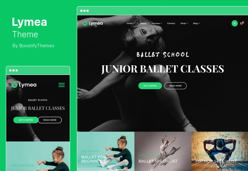 Lymea Theme - Art & Music School WordPress Theme