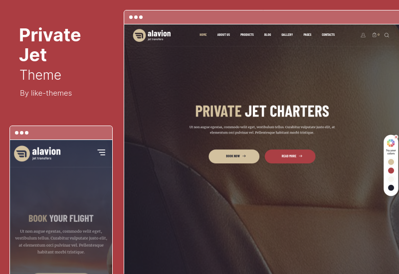 Private Jet Theme - Private Jet Charters WordPress Theme