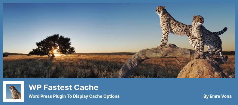 WP Fastest Cache Plugin - Word Press Plugin to Display Cache Options