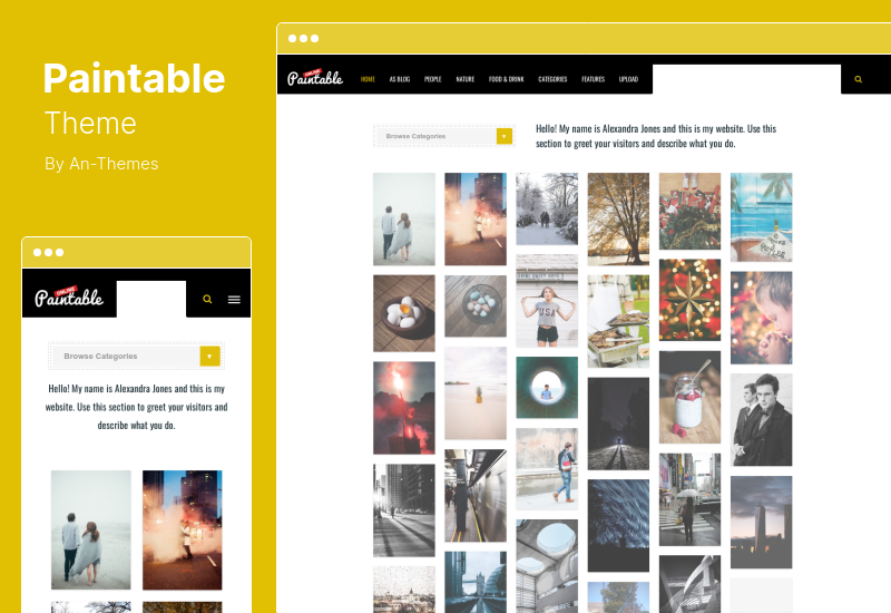 Paintable Theme - Photography and Blog / Photos Download WordPress Theme