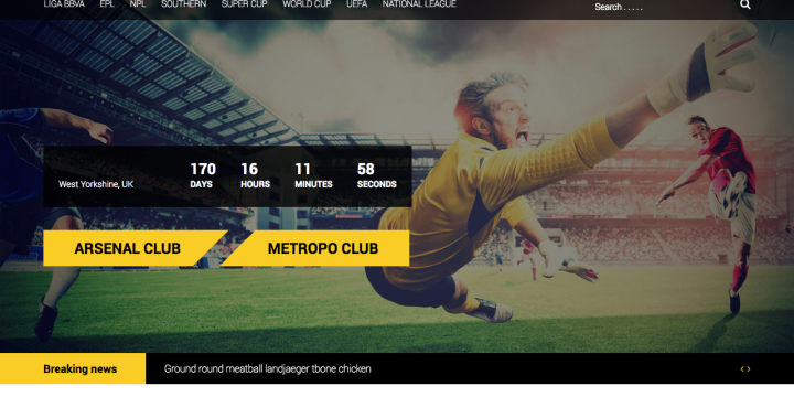 The 5 Best Sports WordPress Themes for Sports Leagues & News Sites