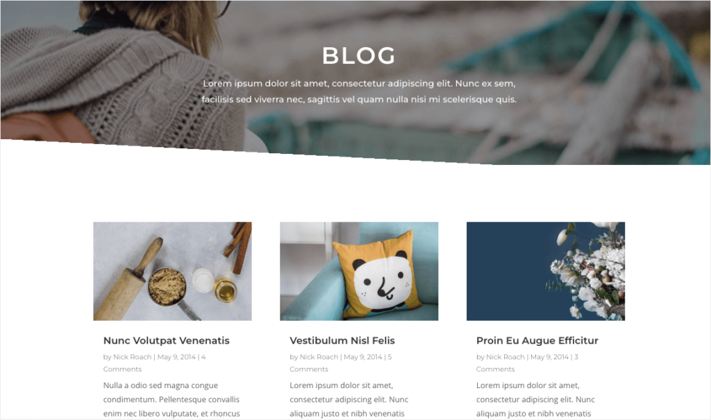Divi theme for poetry blog