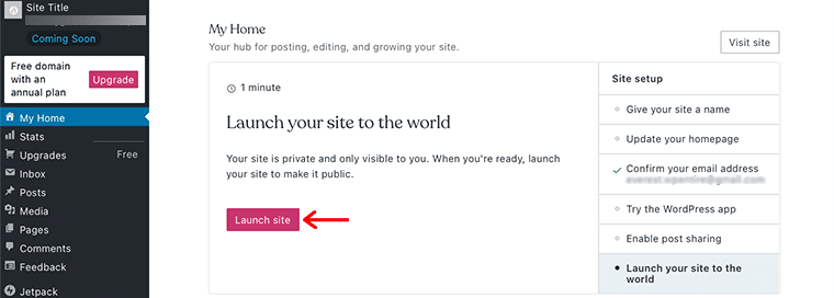 Launch and Make Your Website Public