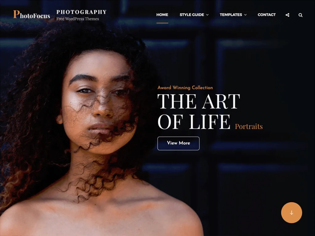PhotoFocus is a free multipurpose photography WordPress theme for photographers, photo bloggers, freelancers, and other