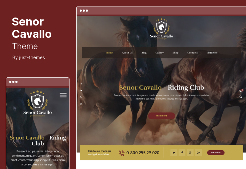 Senor Cavallo Theme - Horse Riding Club WordPress Theme