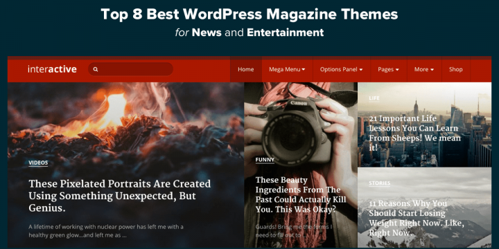 Top 11 Best WordPress Magazine Themes for News & Entertainment