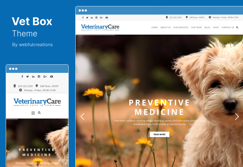 VetBox Theme - Veterinary & Pet Care WordPress Theme