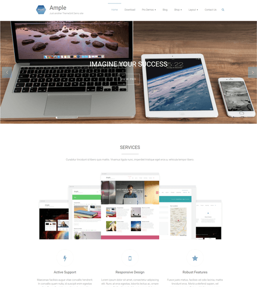 Ample Free WordPress Template for Business