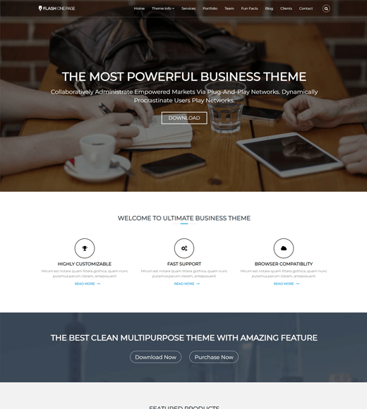 Flash Free WordPress Template for Business
