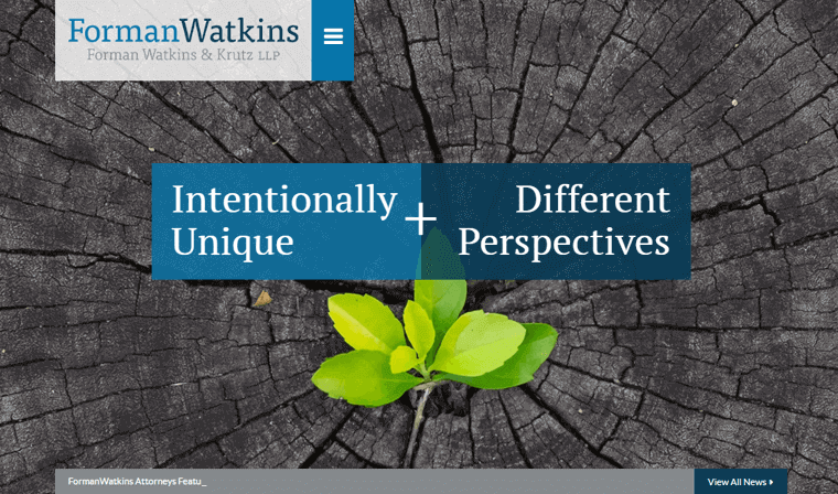 Forman Watkins Environmental Law Firm Website Examples