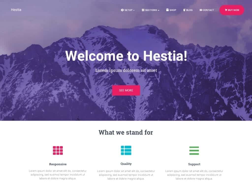 Hestia lite is a modern WordPress theme for professionals bloggers. It fits creative business, small businesses (restaurants blogs, wedding planners blogs, sport/medical shops), startups, corporate businesses, online agencies and firms