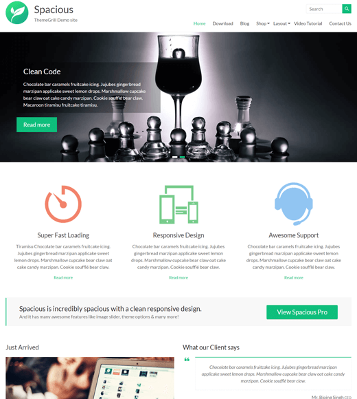 Spacious One of the Free WordPress Business Themes