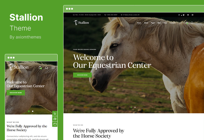 Stallion Theme - An Equestrian Club and Horse Riding School WordPess Theme