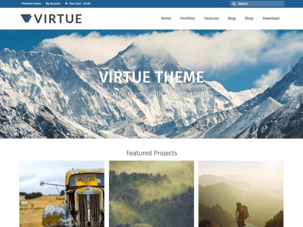 The Virtue theme is extremely versatile with tons of options, easy to customize and loaded with great features. 