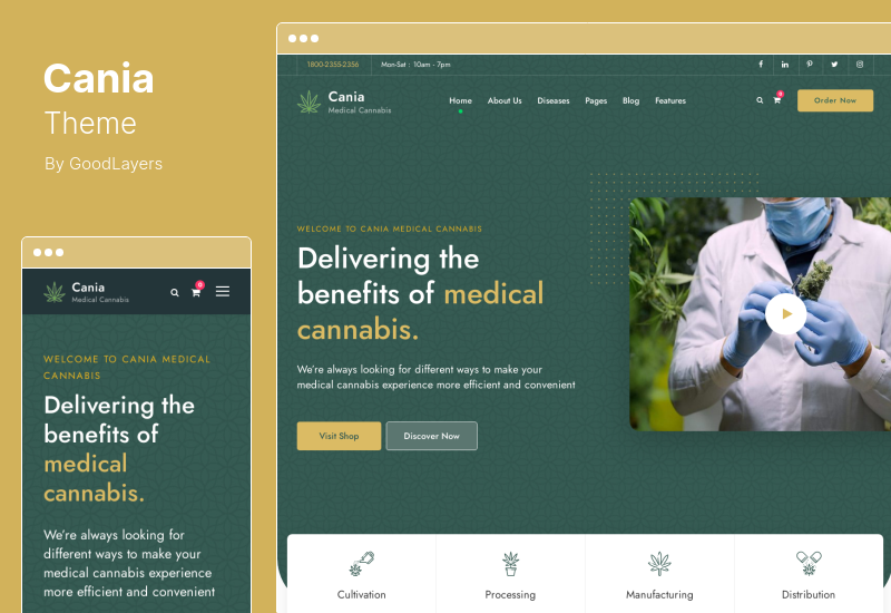 Cania Theme - Marijuana Medical WordPress Theme