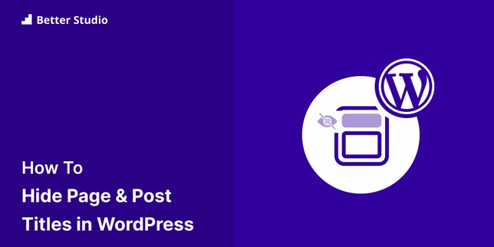 How to Hide Page and Post Titles in WordPress?