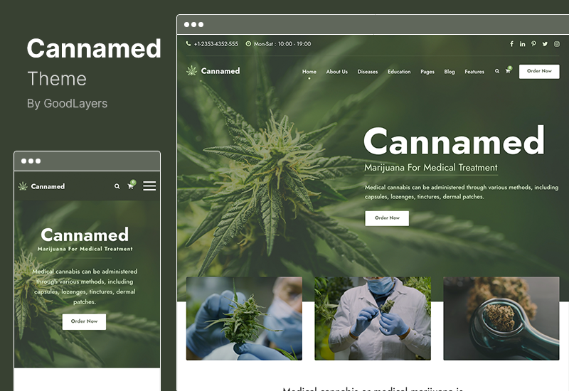 Cannamed Theme - Cannabis & Marijuana WordPress Theme