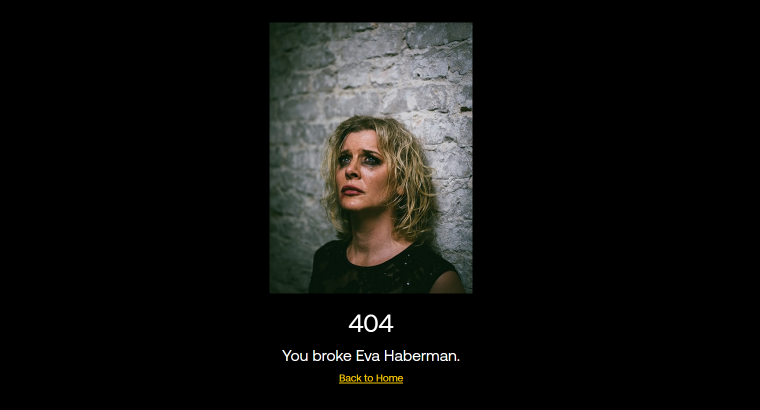 portfolio 404 page design