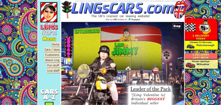 lingscars example of overwhelming website