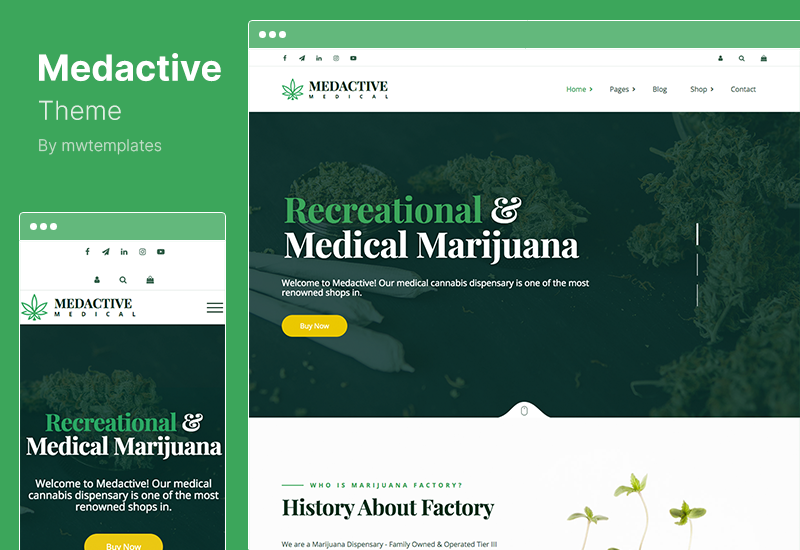 Medactive Theme - Medical Marijuana Dispensary WordPress Theme