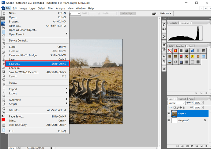 Save as Option in Photoshop