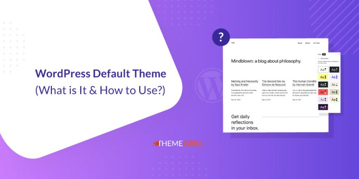 What is WordPress Default Theme & How to Use? (Full Guide)