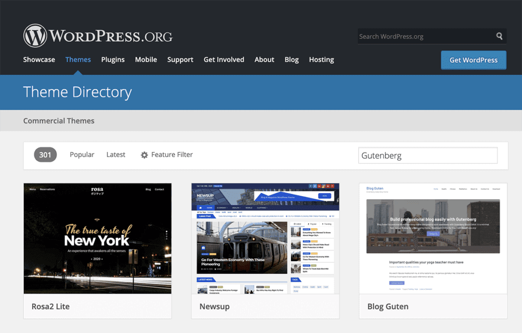 WordPress Gutenberg Compatible Themes 