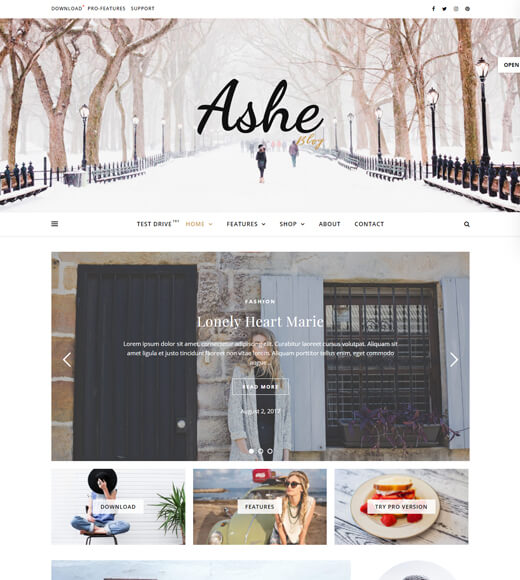 Ashe Best Free WordPress Multipurpose Themes