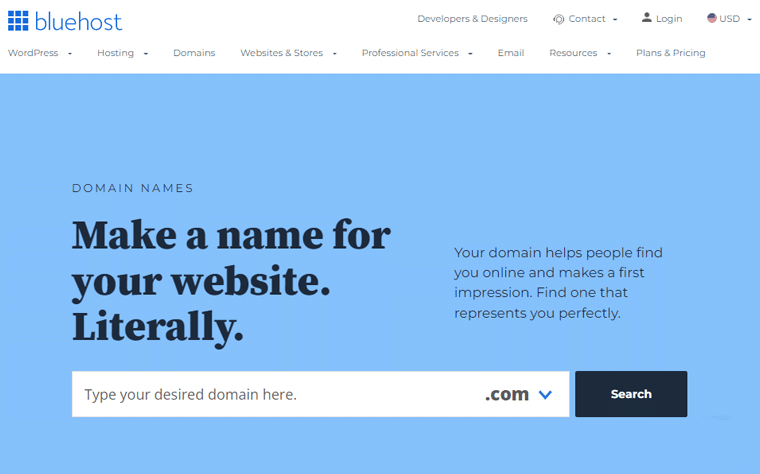 Bluuehost - How to Choose a Domain Name for Personal Website
